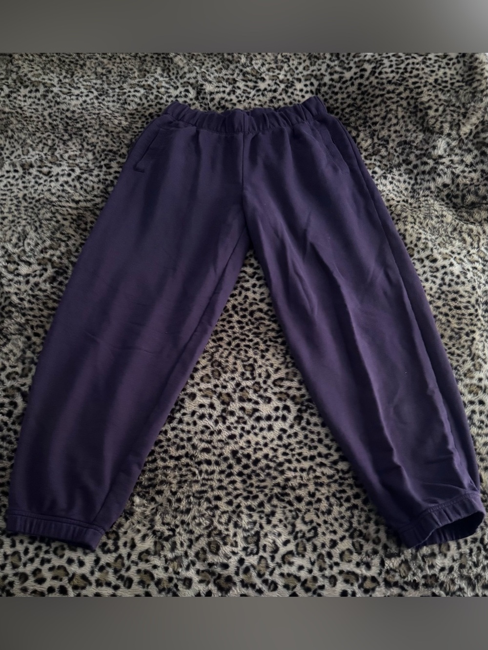 aerie jet setter joggers